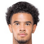 Football player W. Zaire-Emery